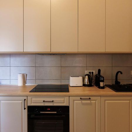 Victoriei Square Apartment Timişoara Extérieur photo